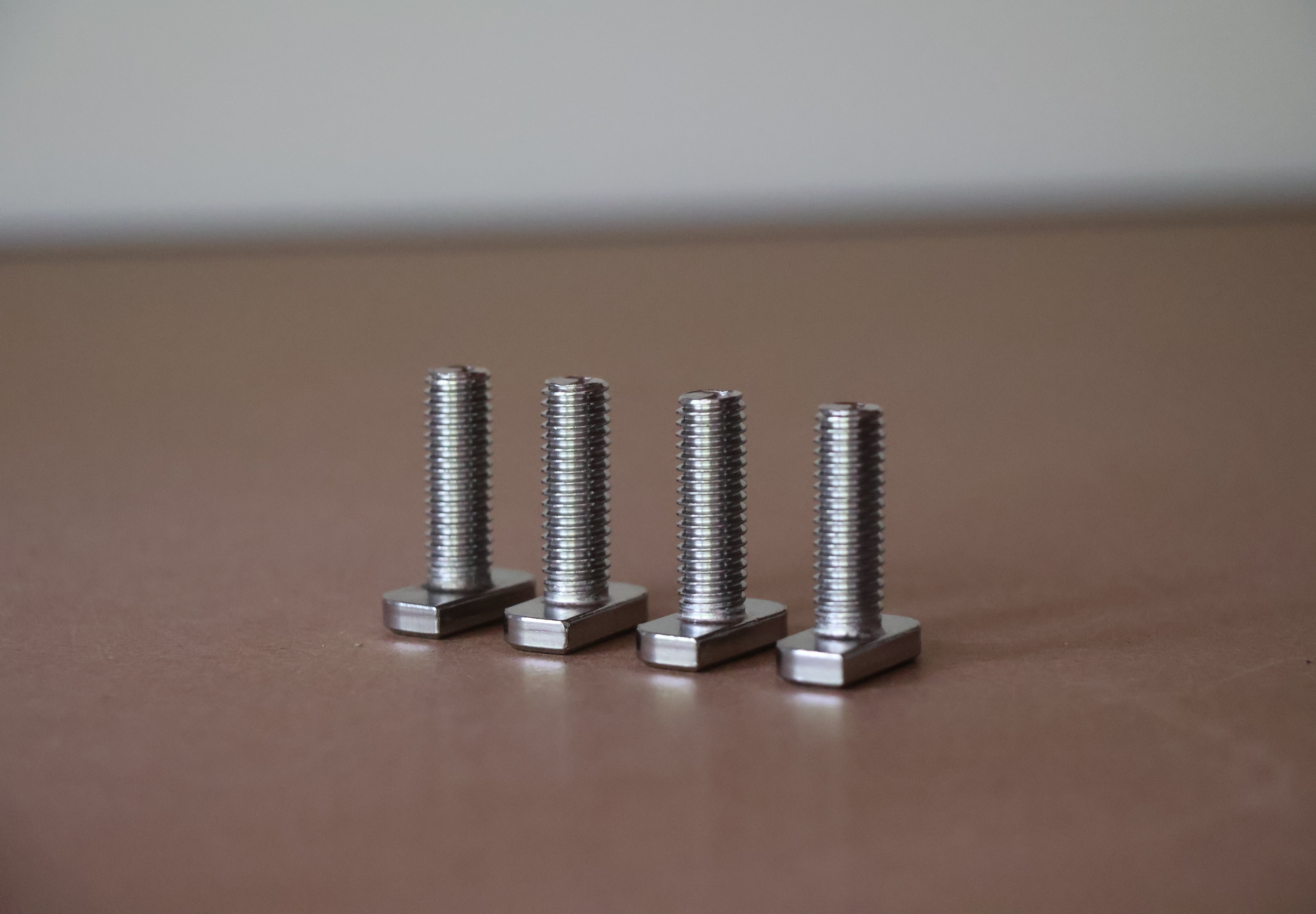 4x 304 Stainless Steel T-Bolt M8x25 for Aluminium Roof Rack